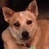 Marie Campbell's profile picture